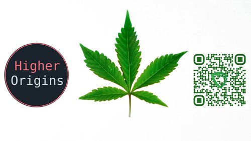 banner image for the article
