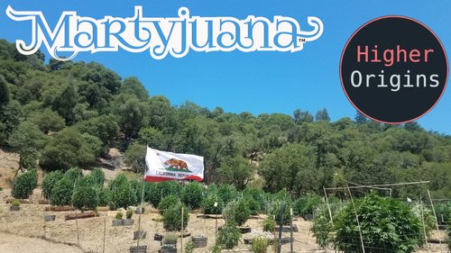 banner image for the article