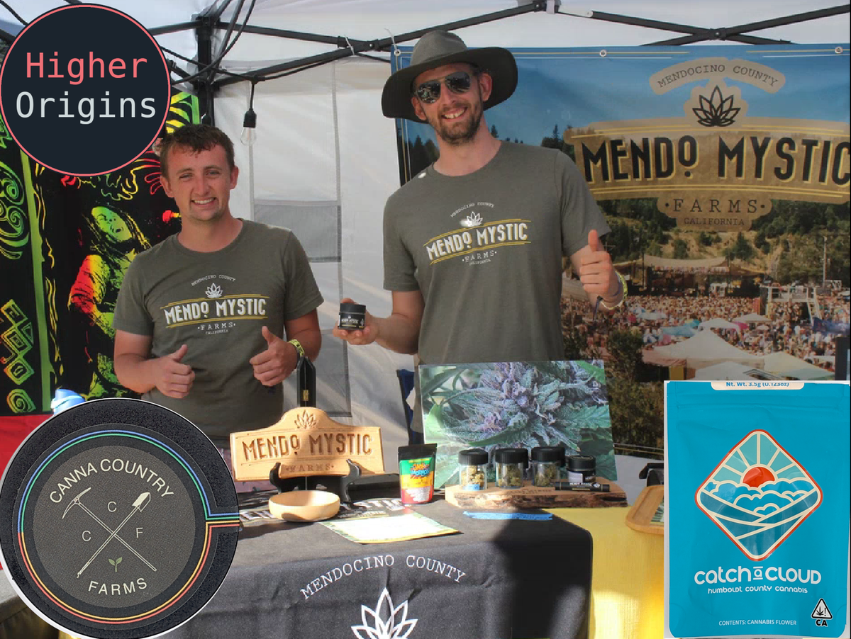 banner image for the article Experiences With Cannabis Sales in the Heart of the Emerald Triangle