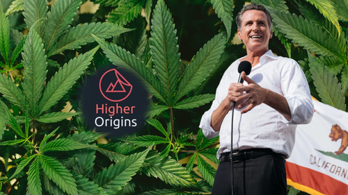 banner image for the article