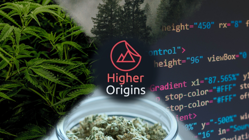banner image for the article