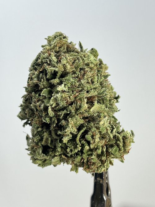 default image for Guerrilla Haze from Mendo Mystic